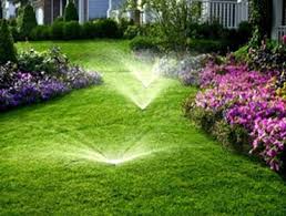 Lush green lawn bordered with purple and pink flowers with irrigation sprinklers using a cross connection device to stop contamination in the water system.